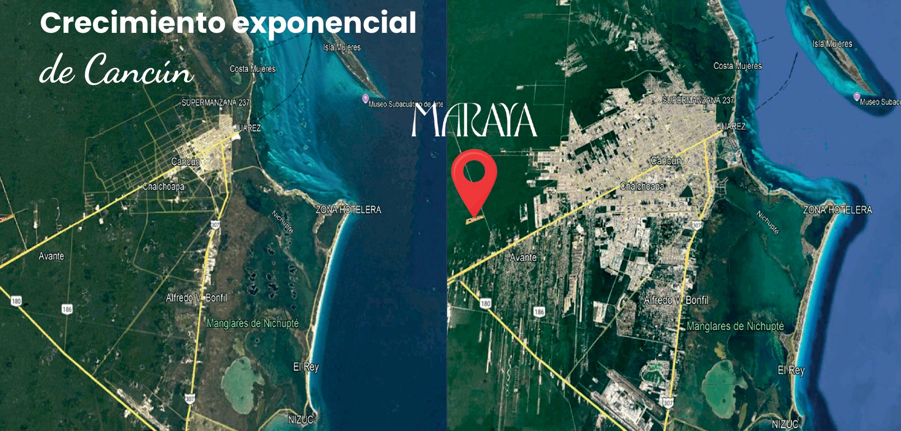 Image {{ index + 1 }}