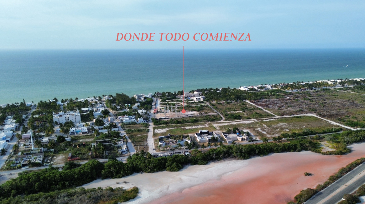 Image {{ index + 1 }}